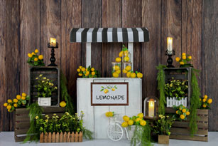 Kate Summer Lemon Stand Backdrop Designed by Jia Chan Photography