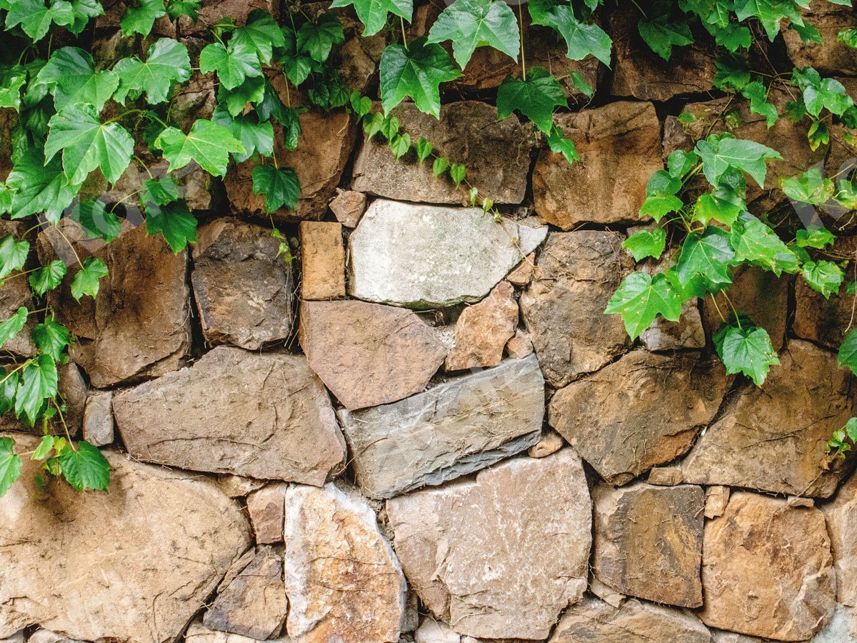 Kate Stone Wall with Green Vine Backdrop Designed by Jia Chan Photography