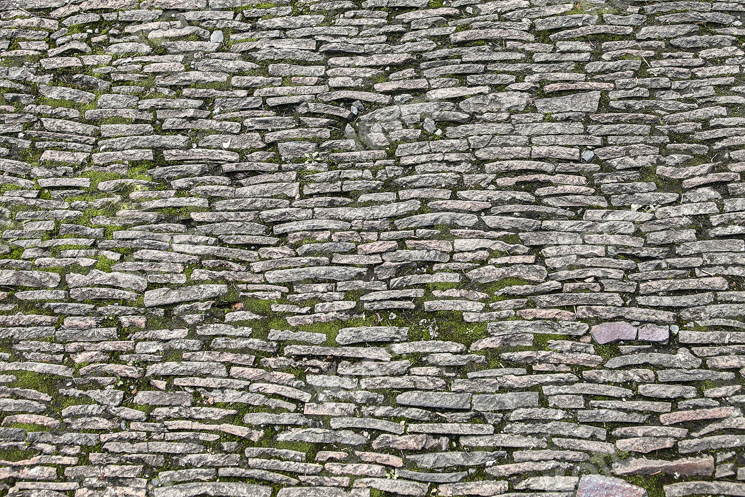 Kate Stones Brick Wall Backdrop Designed by Jia Chan Photography -UK
