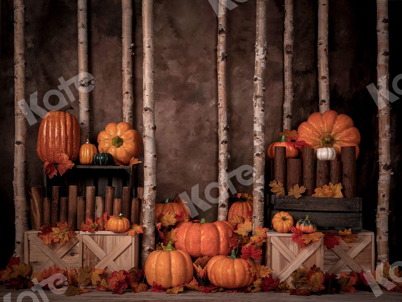 Kate Autumn Pumpkins Backdrop Designed by Jia Chan Photography -UK