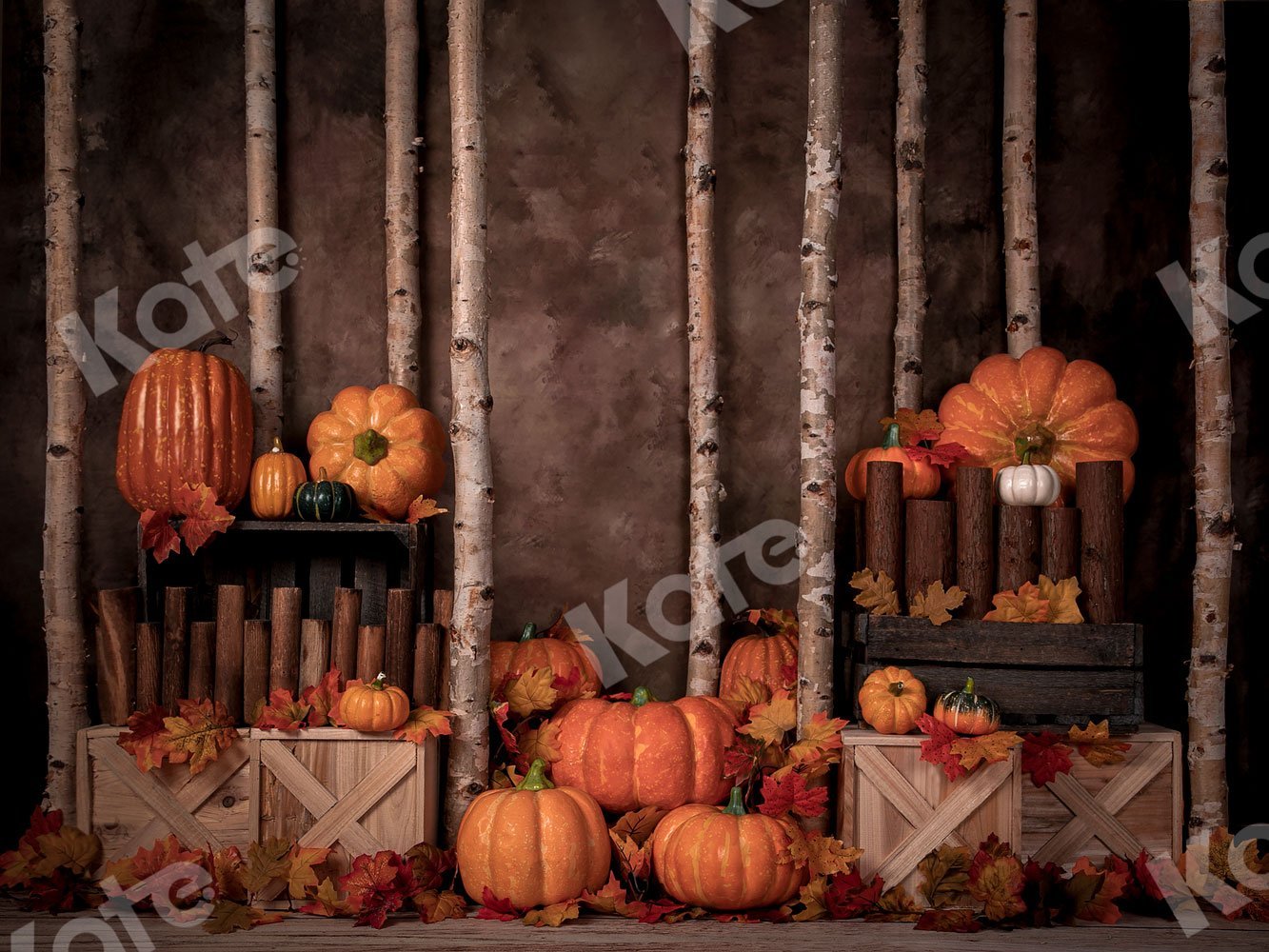 Kate Autumn Pumpkins Backdrop Designed by Jia Chan Photography