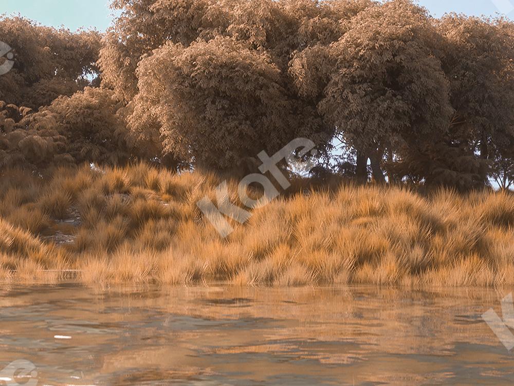 Kate Autumn Forest Backdrop by the River Designed by Jia Chan Photography