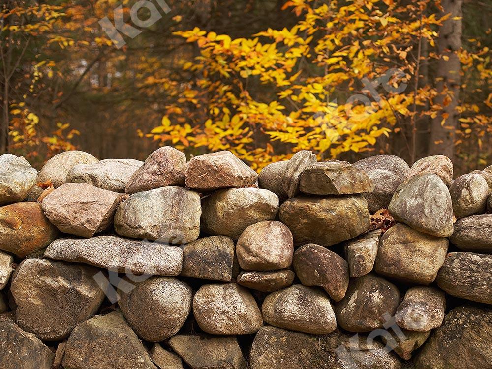 Kate Fall Forest Stone Wall Backdrop Designed by Emetselch