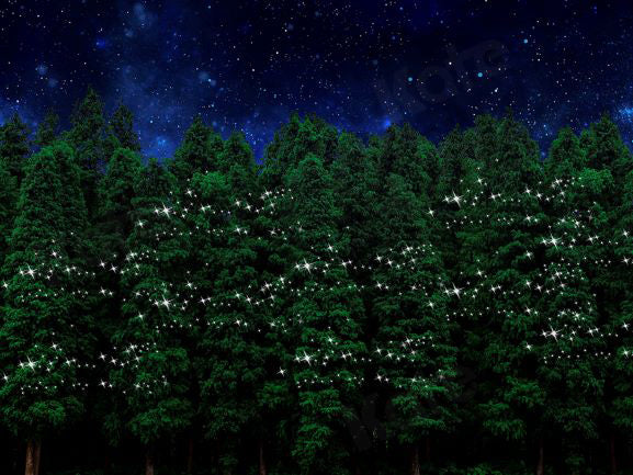 Kate Christmas Forest Night Backdrop Designed by Chain Photography