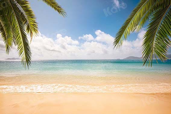 Kate Summer Beach Blue Sky Backdrop Designed by Chain Photography -UK