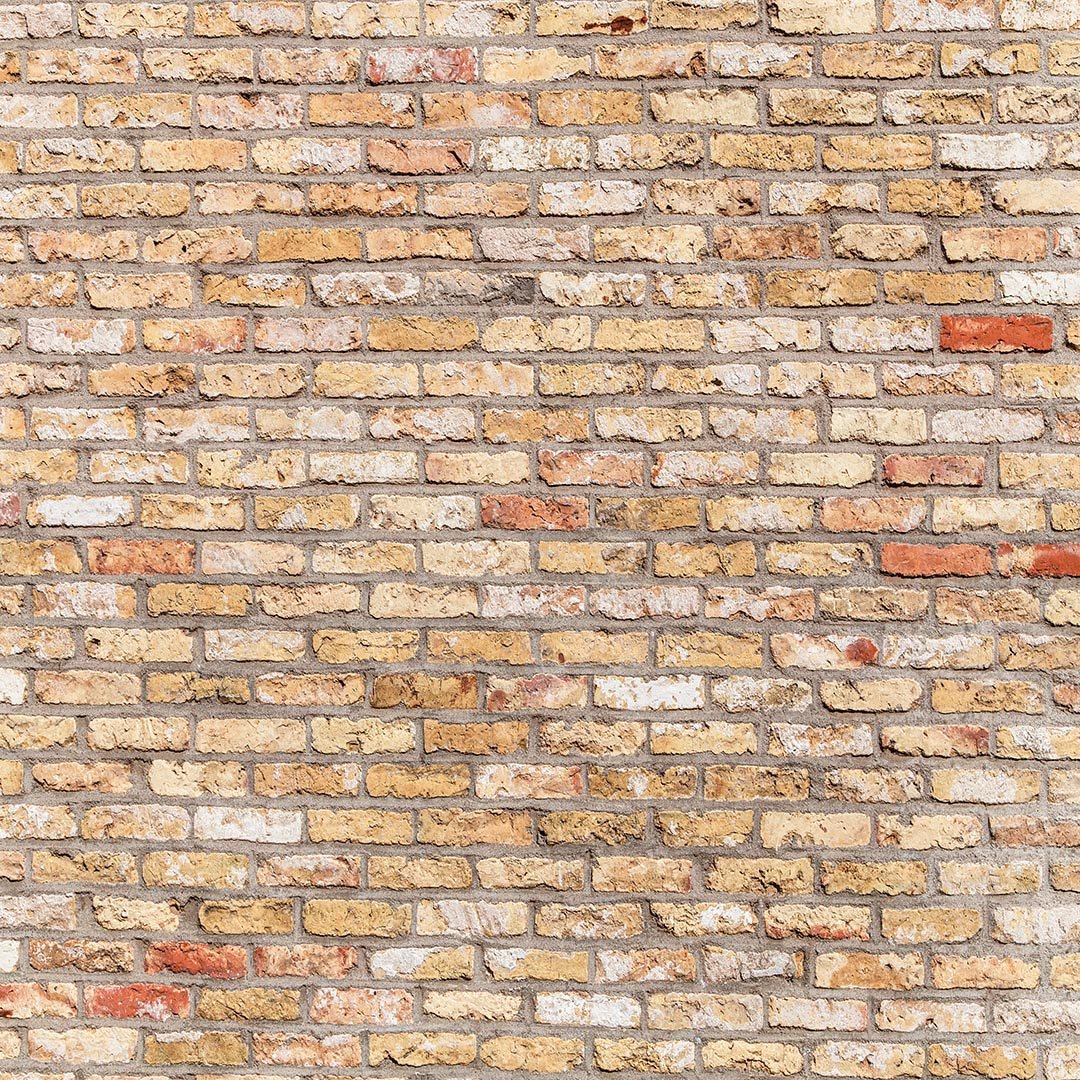 Kate Primary Color Brick Wall Backdrop for photography -UK