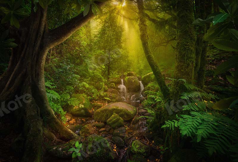 Kate Jungle Forest Summer Backdrop Designed by Chain Photography -UK