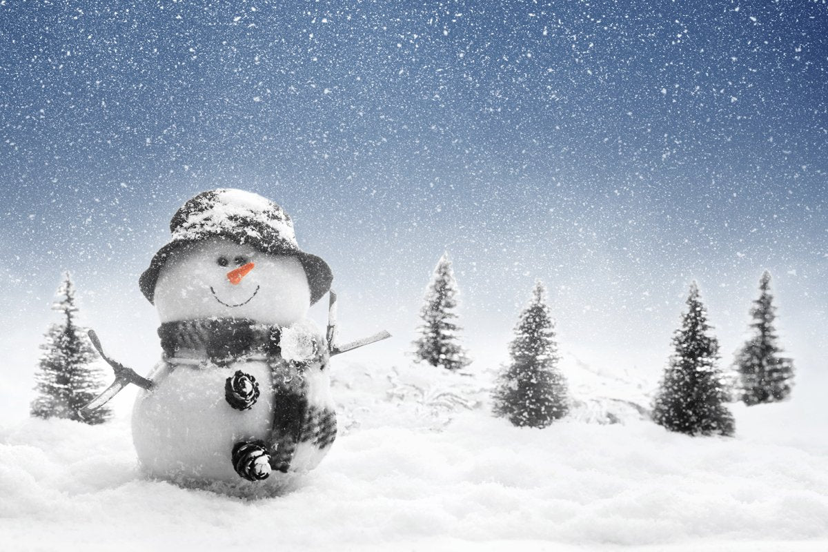 Kate Outdoor Snowman Snowflake  Winter backdrop for Christmas Photography - Kate backdrop UK