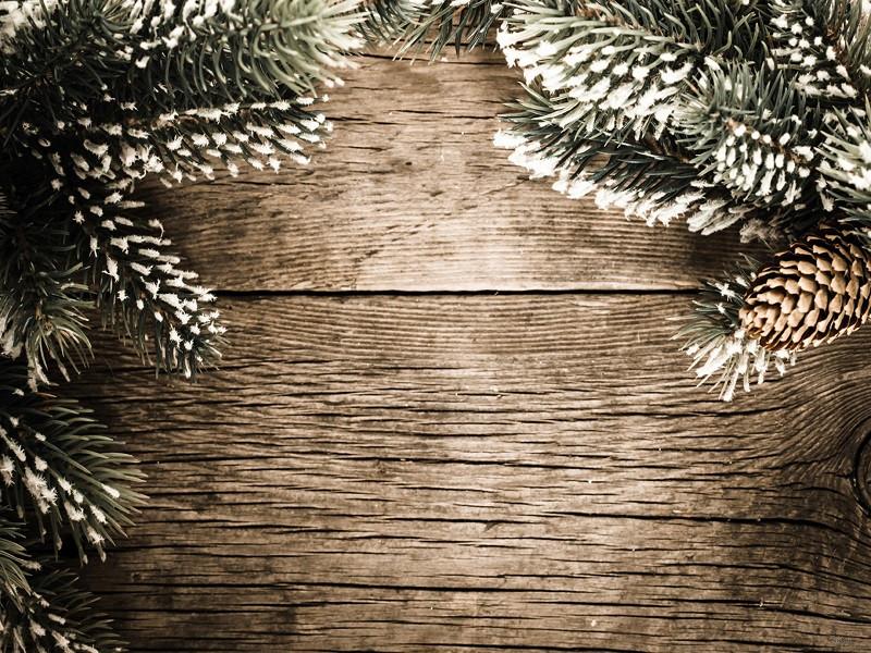 Kate Brown Wood Backdrop With Pine for Photo Studio Backgrounds - Kate backdrops UK