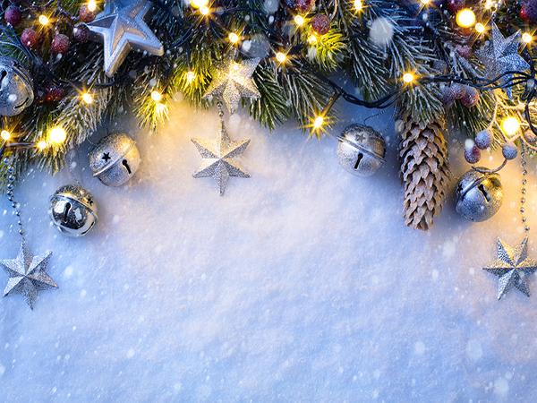 Kate Christmas Pine branches Snow Winter Backdrop for Photography - Kate backdrop UK