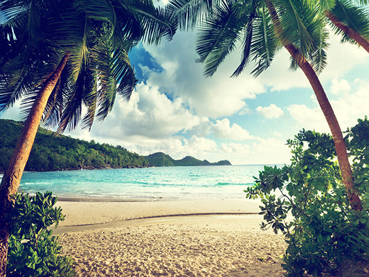 Kate Beach Dusk Backdrops for Photography - Kate backdrops UK