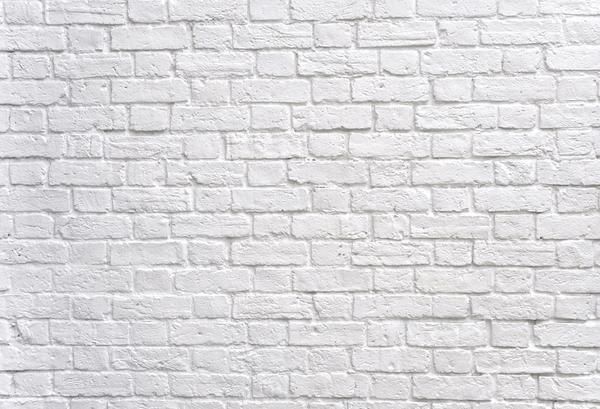 Kate Gray White Brick Wall Graduation Backdrop Studio