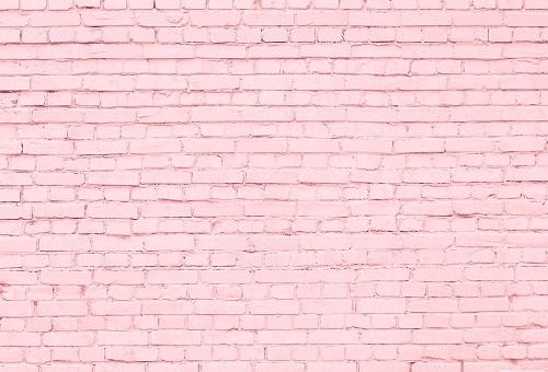Kate Pink Brick Wall Photography Backdrops