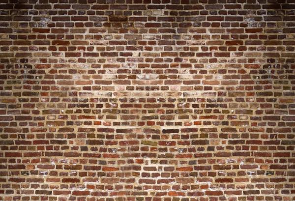 Kate Distressed Brick Combination Backdrops for Photography