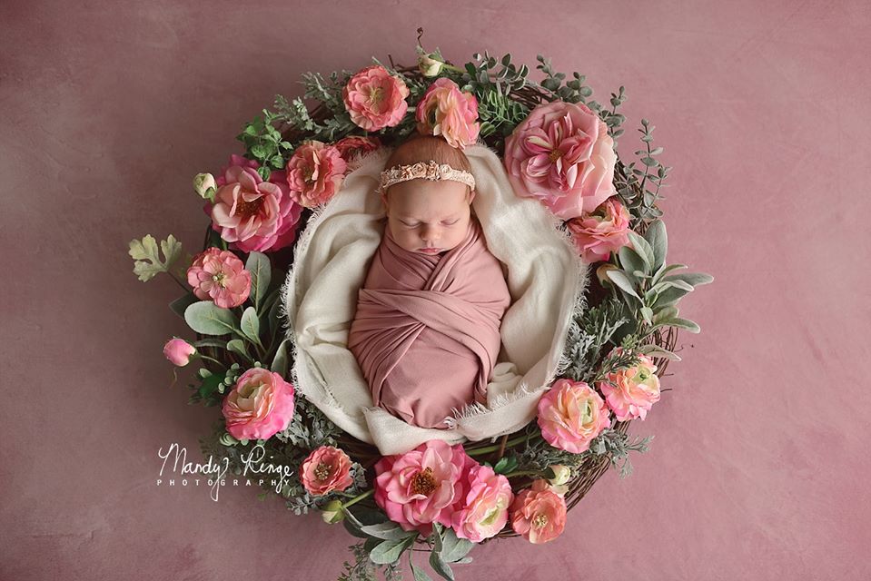 Kate Pink Tones Fine Art Abstract Backdrop designed by Veronika Gant