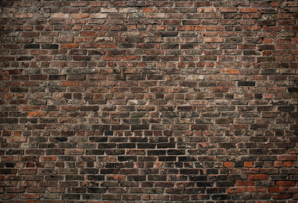 Kate Old Brick Wall for Photography