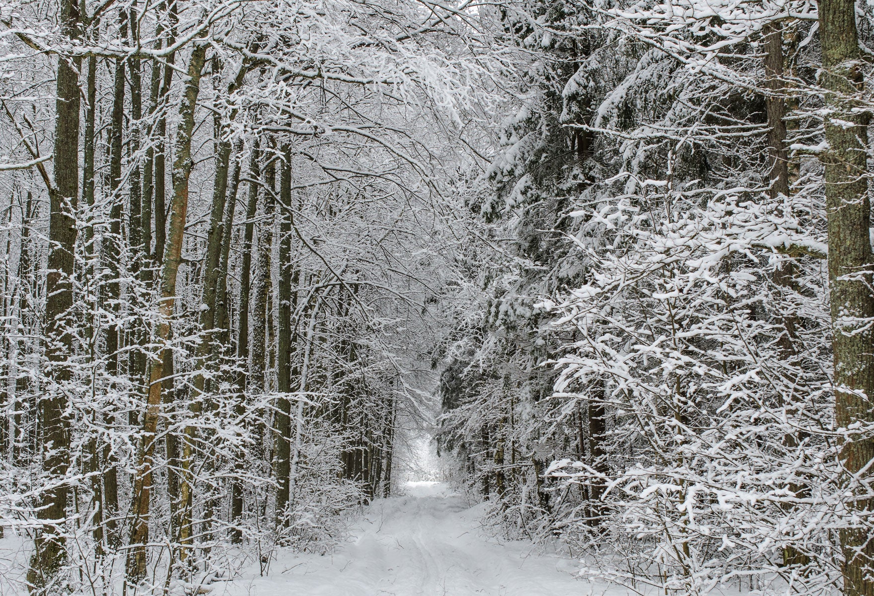 Kate Ice and Snow Backdrops for Photography