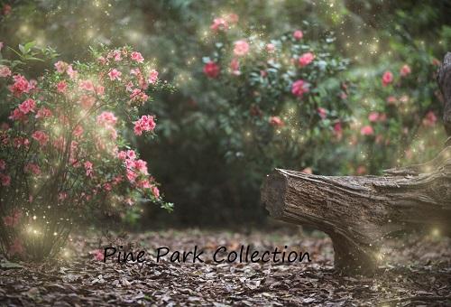 Kate Garden with log bench fairy lights spring Backdrop for Photography Designed by Pine Park Collection