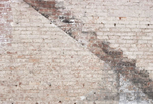 Kate Distressed Brick Combination Backdrops for Photography