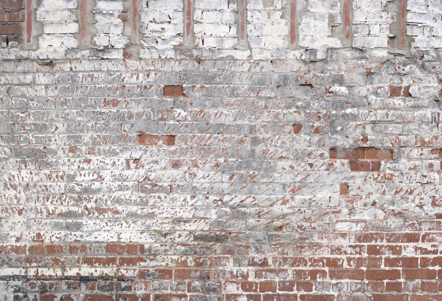 Kate White Brick Wall Backdrop for Portrait Photography Designed by Erin Larkins