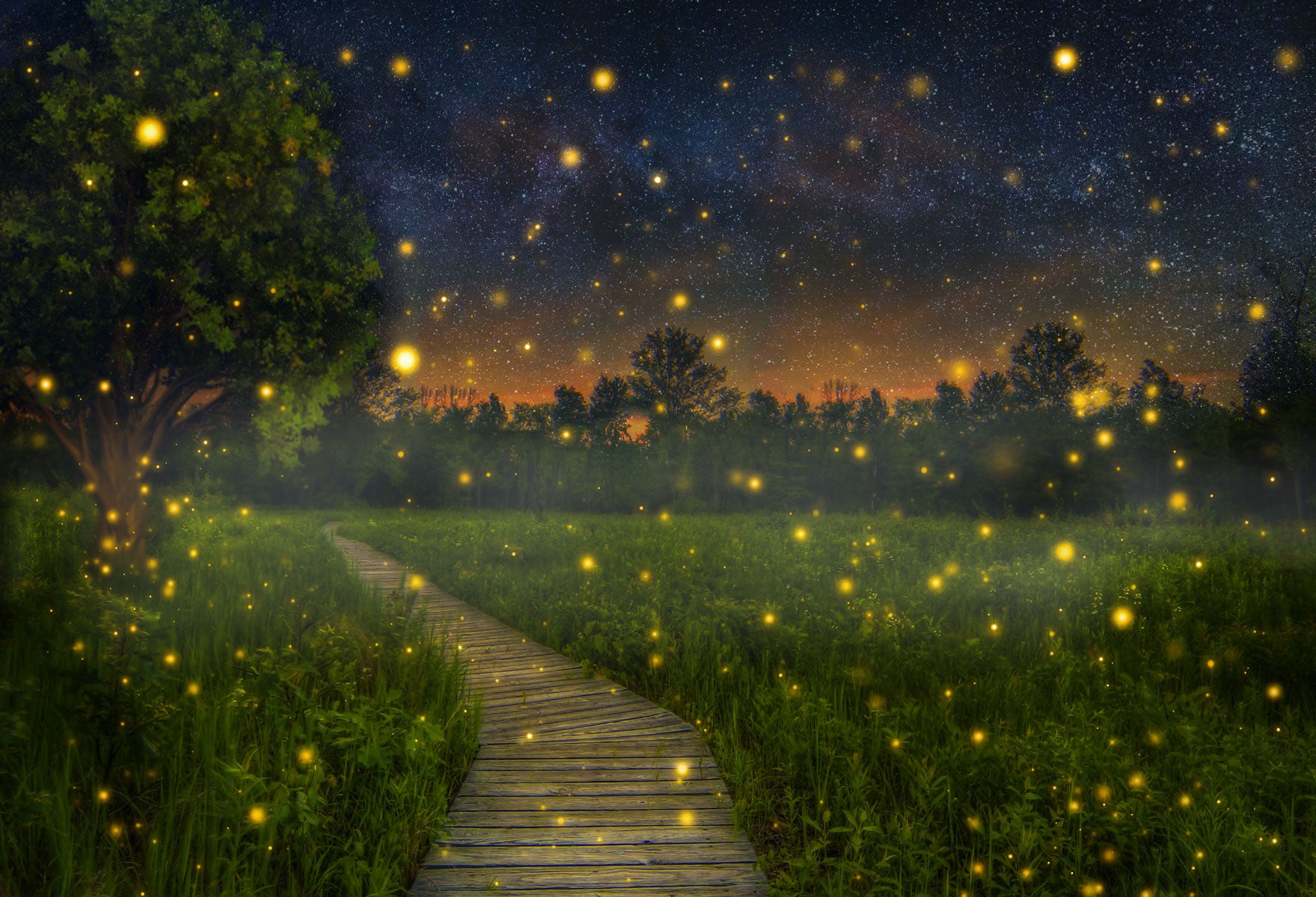 Kate Children Firefly field Backdrop for Photography Designed by Thousand Words Photography -UK
