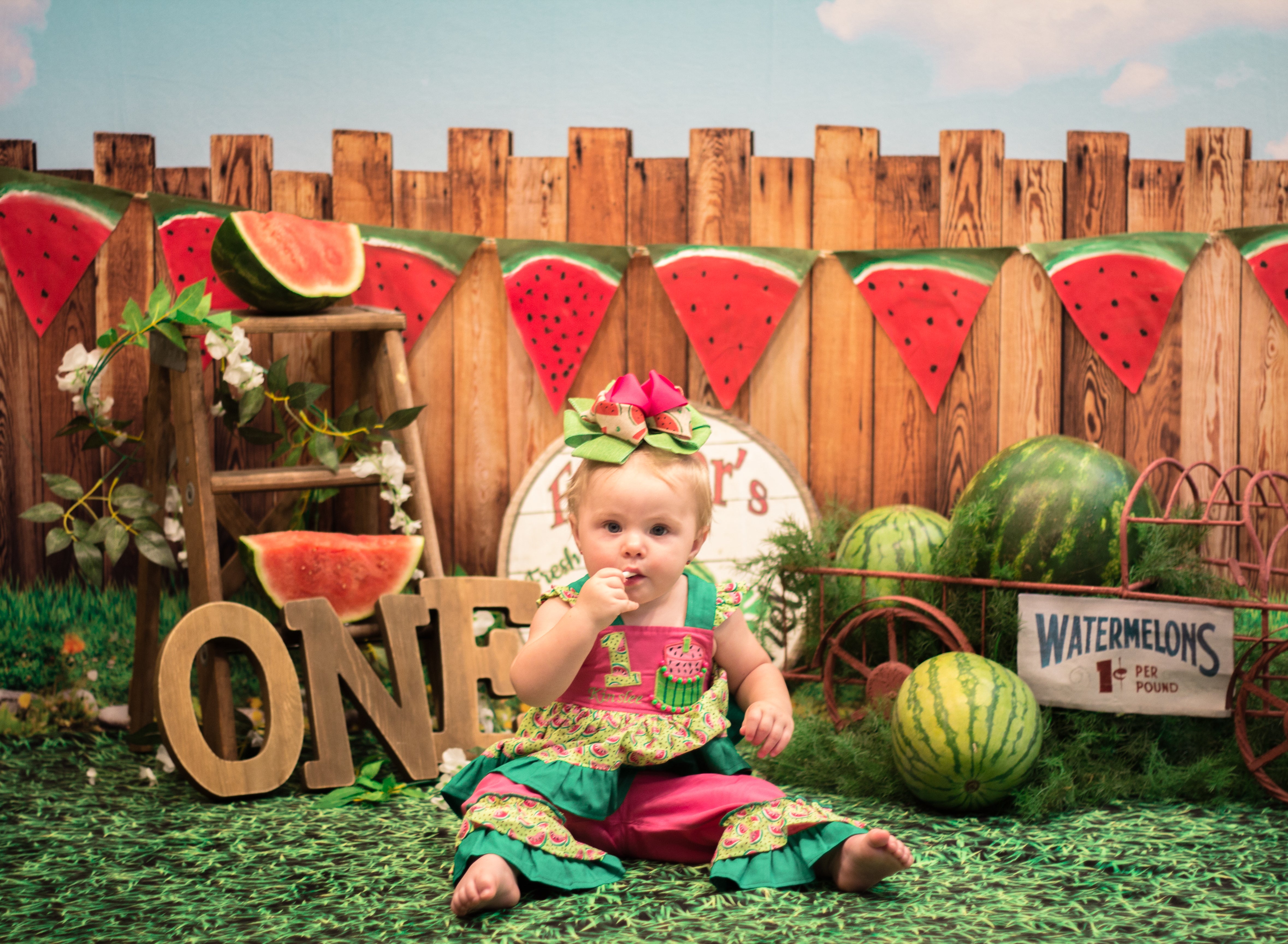 Kate Sunset Fence Watermelons 1st Birthday Backdrop Designed by Stephanie Gabbard