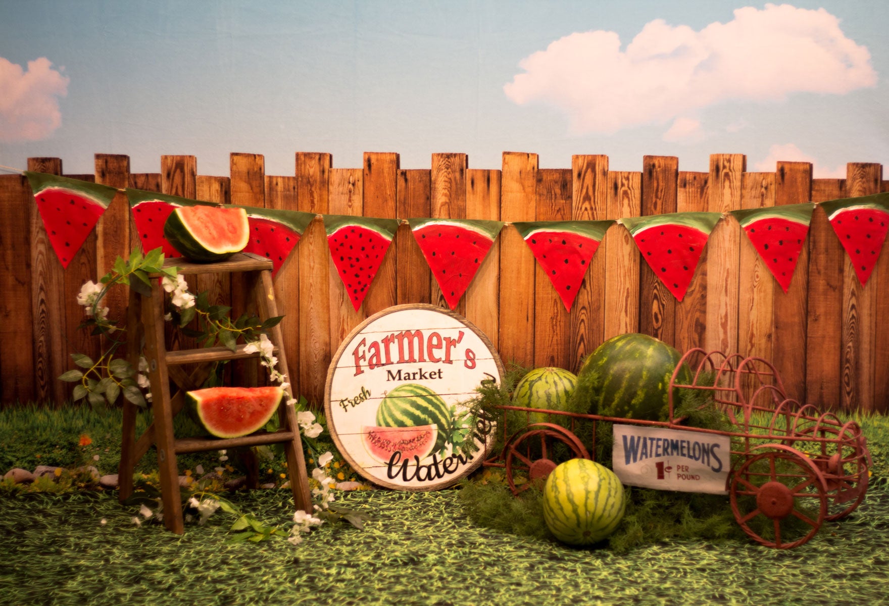 Kate Sunset Fence Watermelons Backdrop Designed by Stephanie Gabbard
