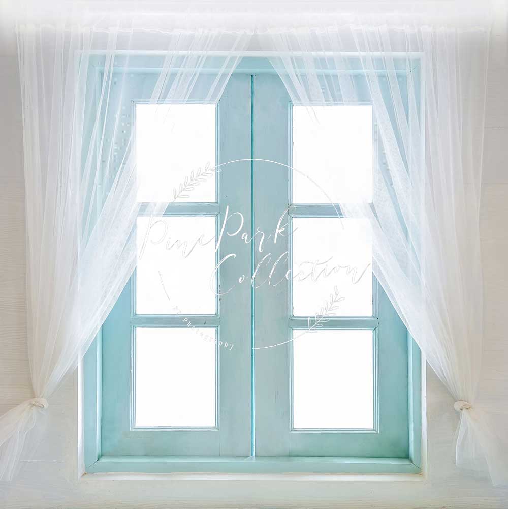 Kate Teal Window Doors Backdrop Designed by Pine Park Collection