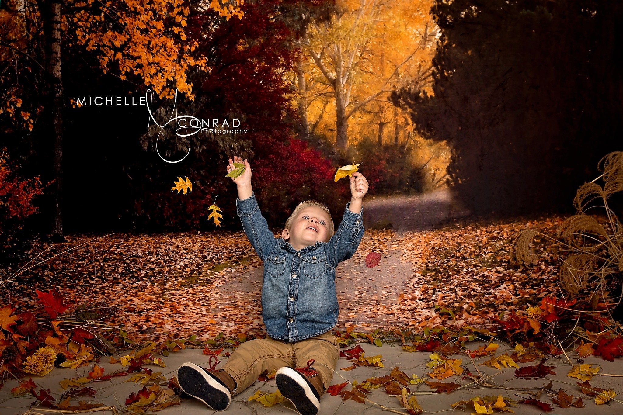 Kate Autumn Golden Leaves Backdrop Designed by Rose Abbas -UK