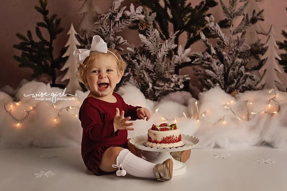 Kate Pine Trees in Snow Backdrop for Photography Designed By Mandy Ringe Photography -UK