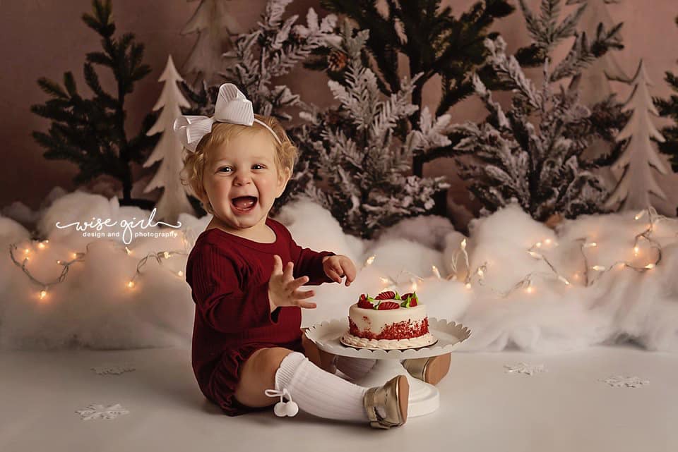 Kate Pine Trees in Snow Backdrop for Photography Designed By Mandy Ringe Photography