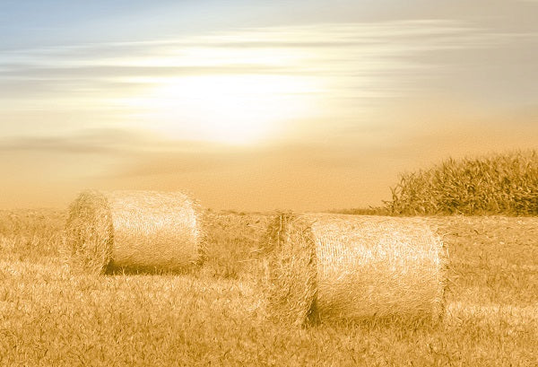 Autumn Sunshine Haystack Field
