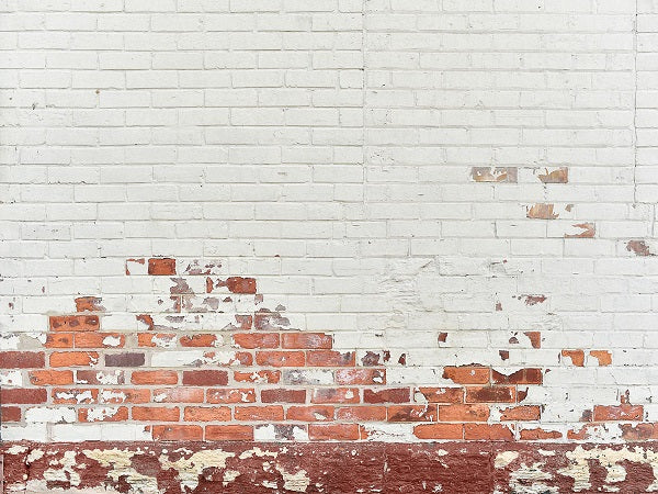 Shabby White and Red Brick Backdrop