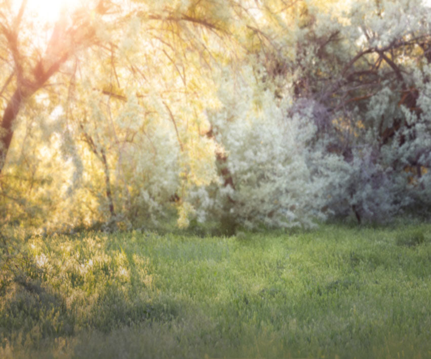 Kate Spring Park Lawn Backdrop for Photography Designed by Lisa Granden