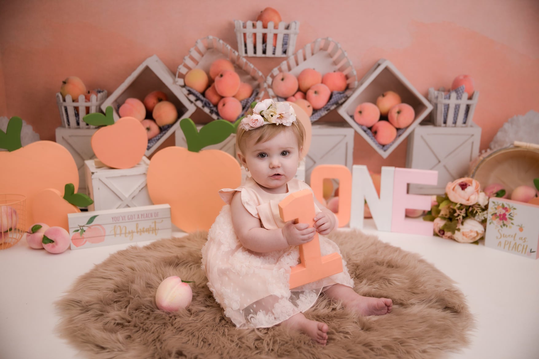 Kate Autumn Peaches and Cream Backdrop Designed By Mandy Ringe Photography