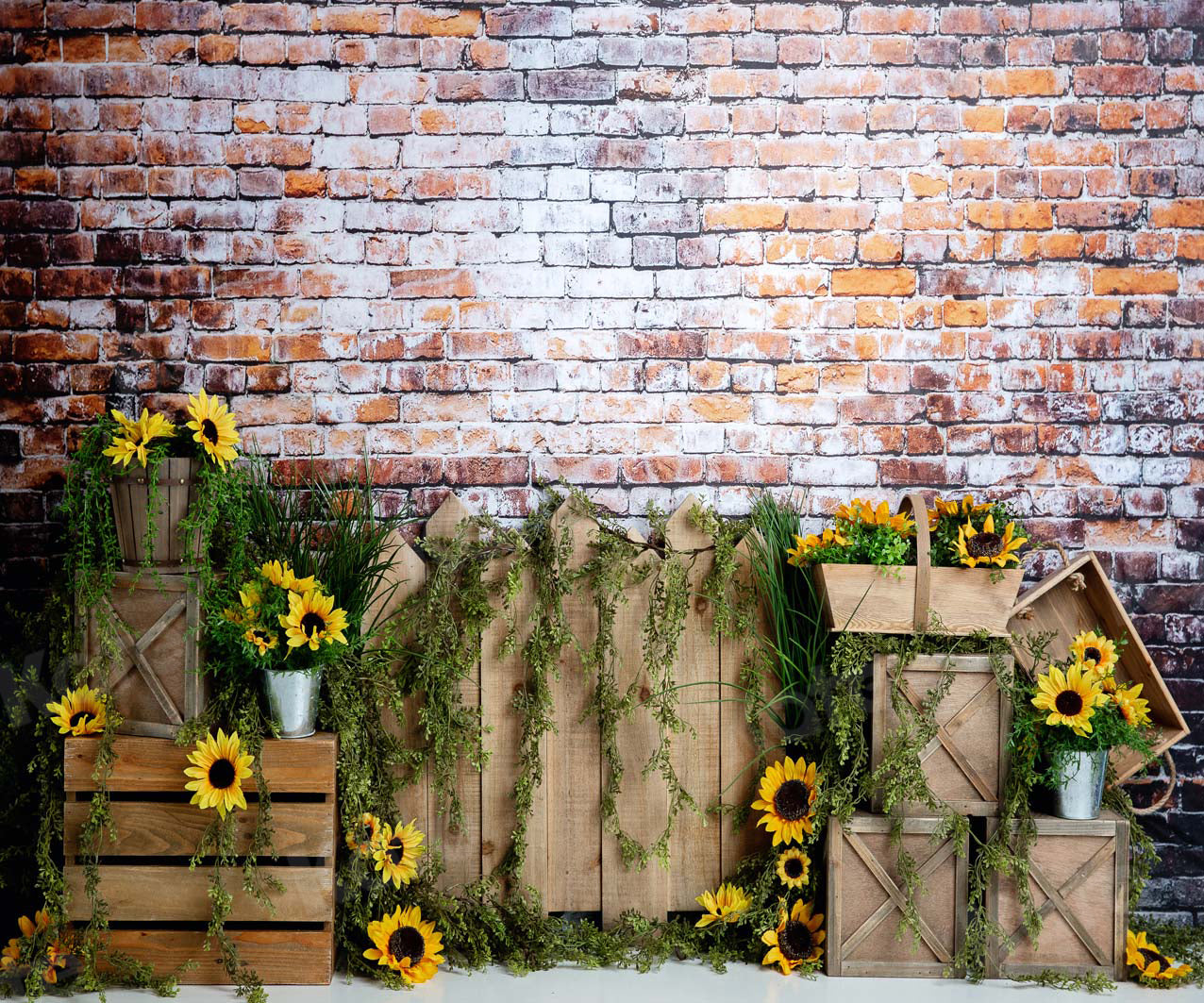 Kate Summer Sunflower Dark Brick Backdrop Designed by Megan Leigh Photography