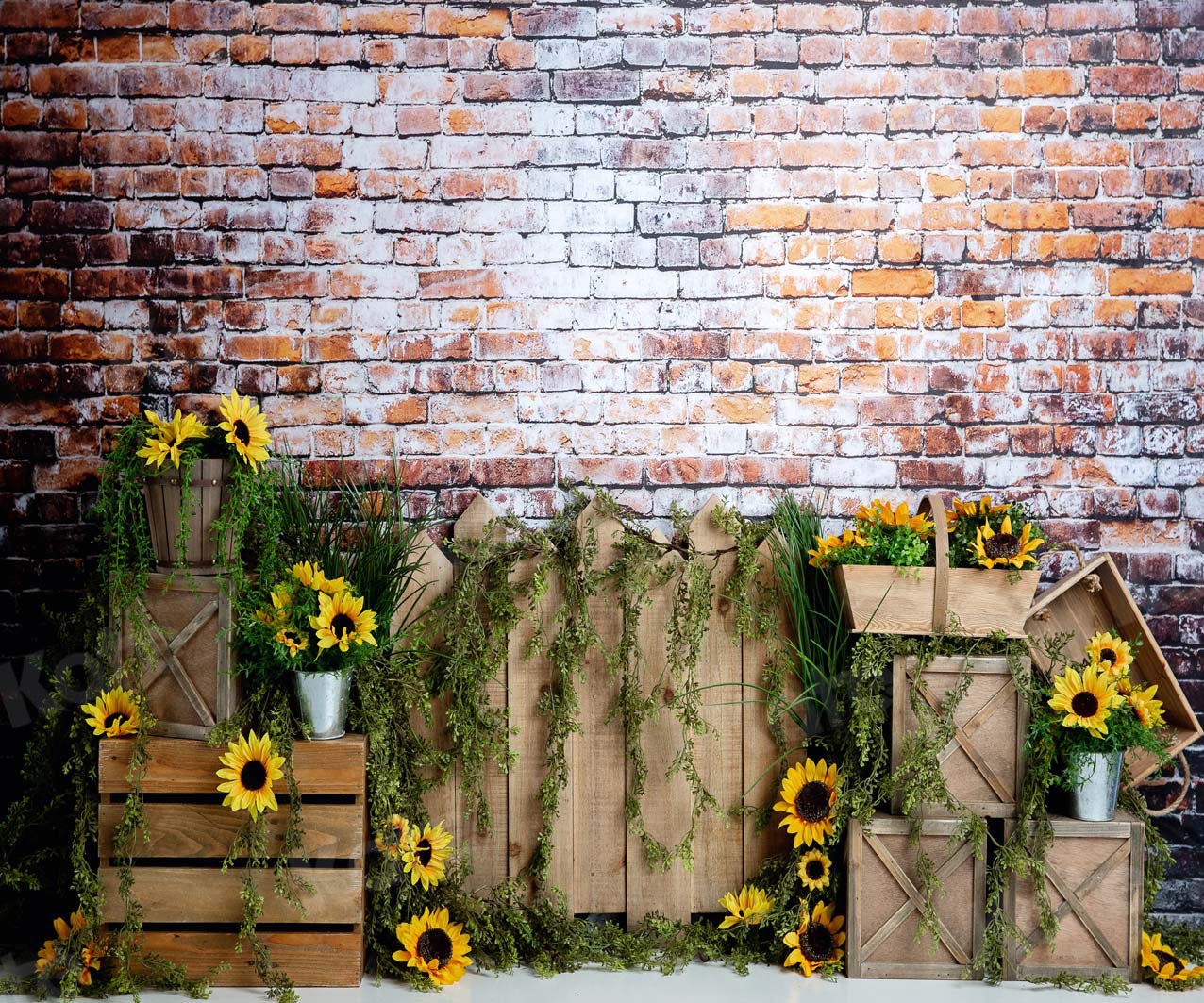 Kate Summer Sunflower Dark Brick Backdrop Designed by Megan Leigh Photography