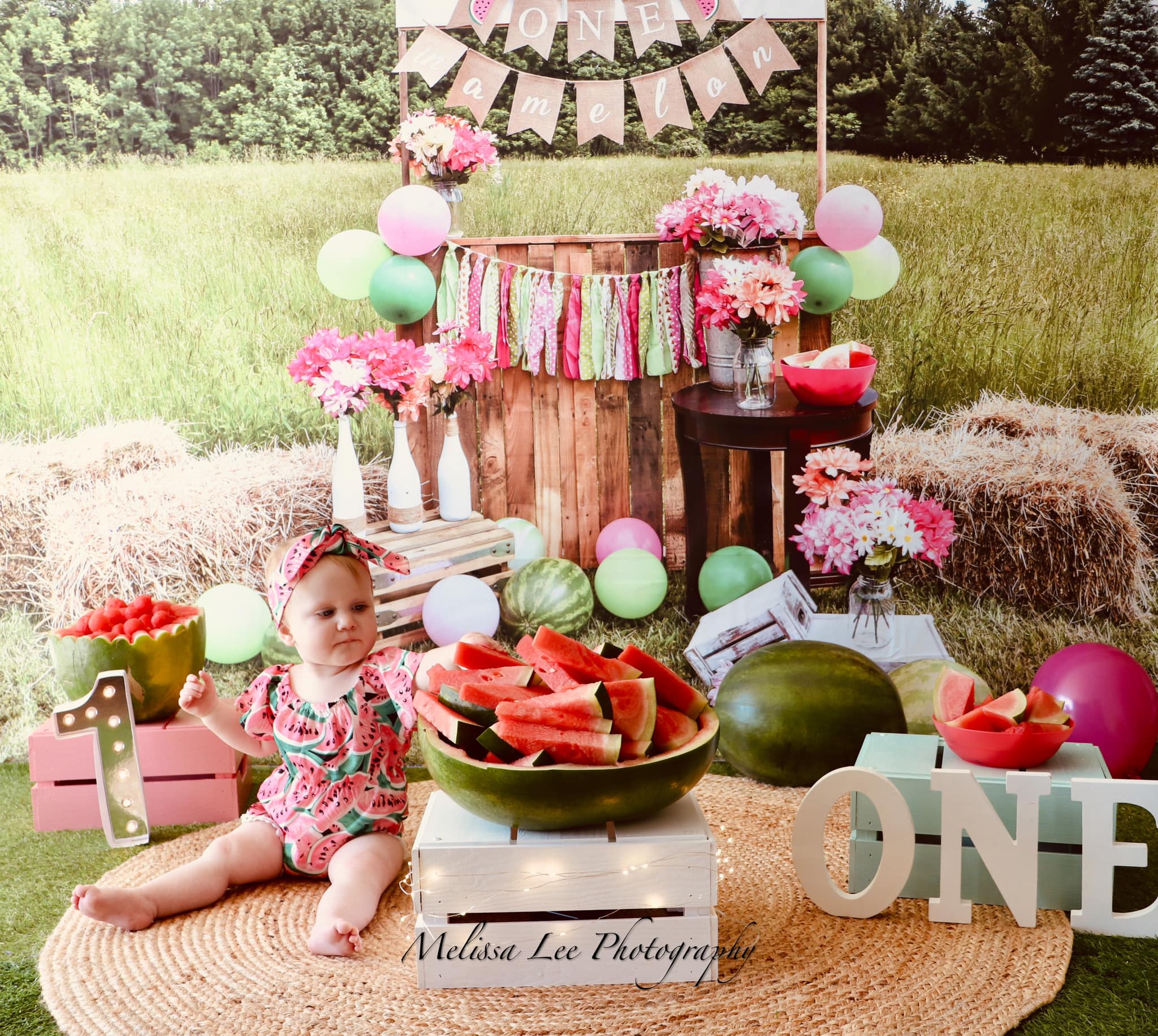 Kate Summer Backdrop Watermelon Stand Designed by AAE Photography