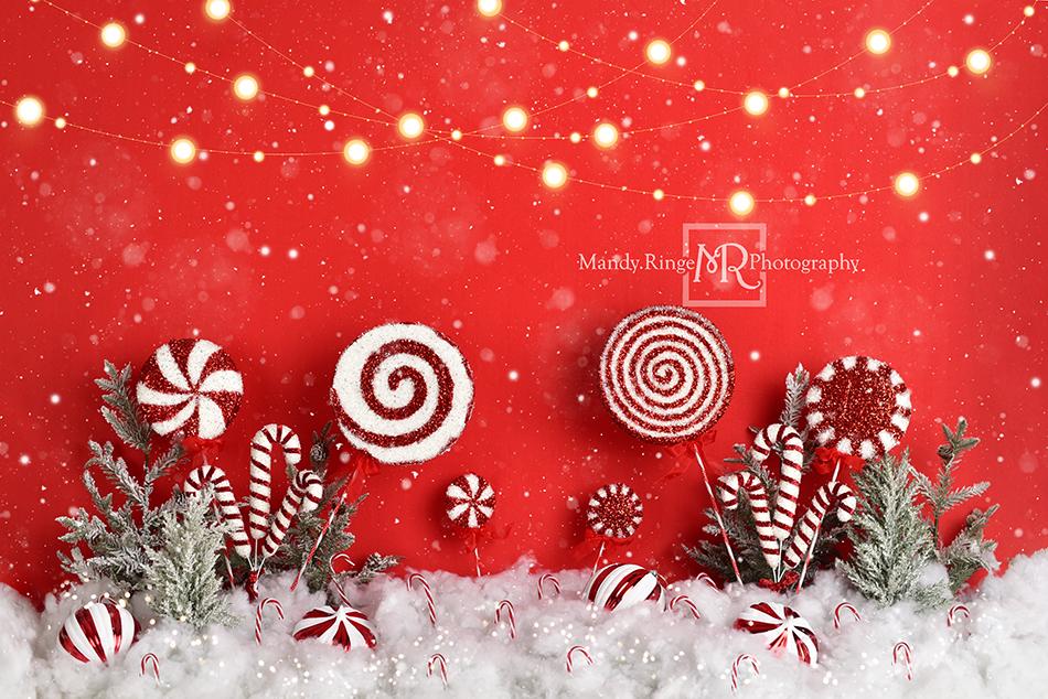 Kate Christmas Wonderland Backdrop Designed by Mandy Ringe Photography