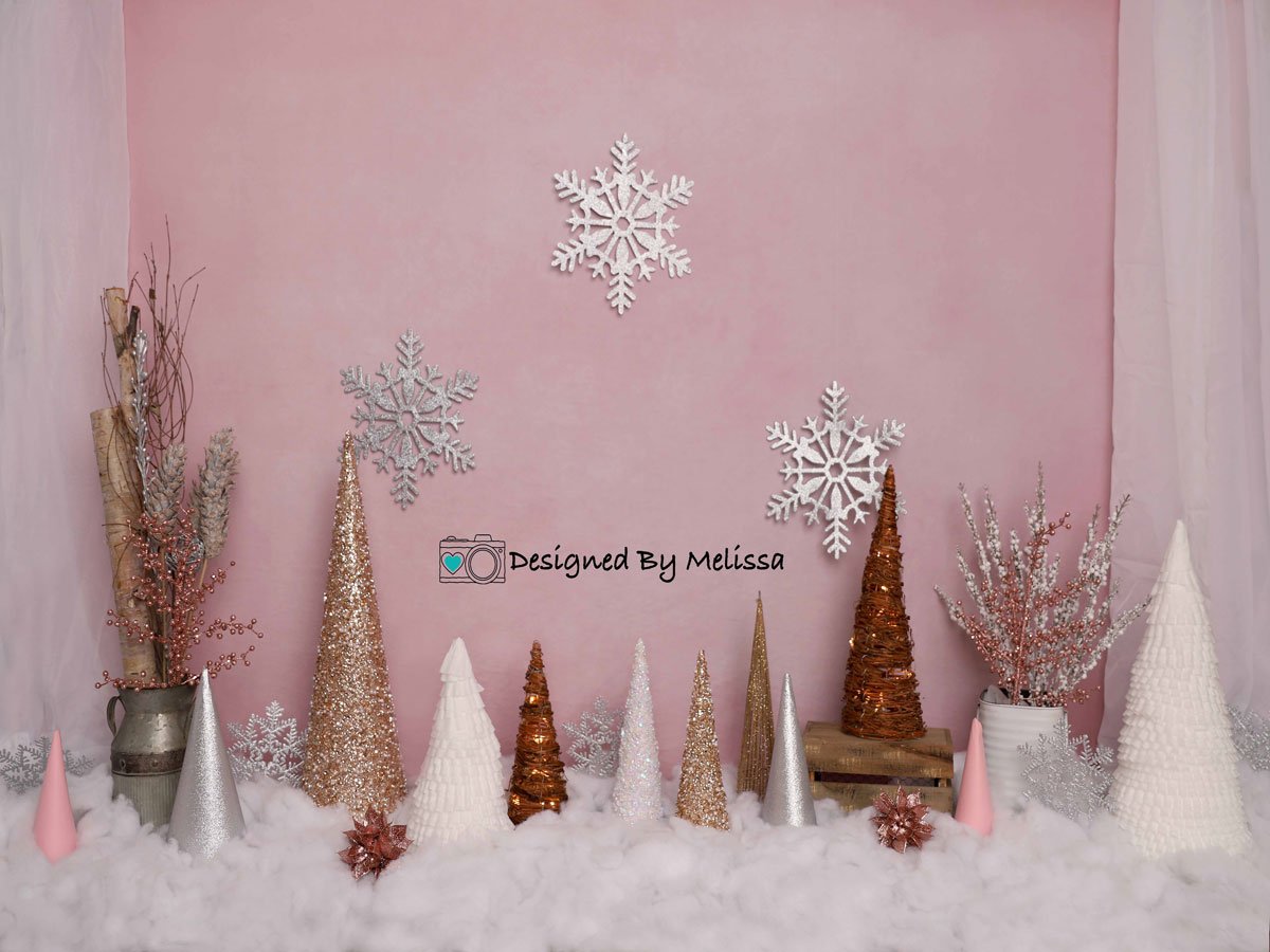 Kate Boho Winter Birthday Websize Backdrop Designed by Melissa King