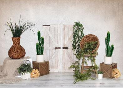 Kate Summer Cactus Door Backdrop Designed by Valerie Miranda