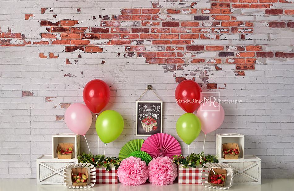 Kate Summer Strawberry Birthday Backdrop Designed by Mandy Ringe Photography