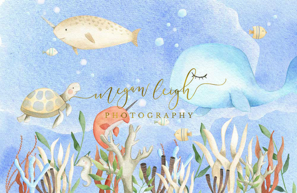 Kate Cake Smash Undersea World Backdrop Designed by Megan Leigh Photography