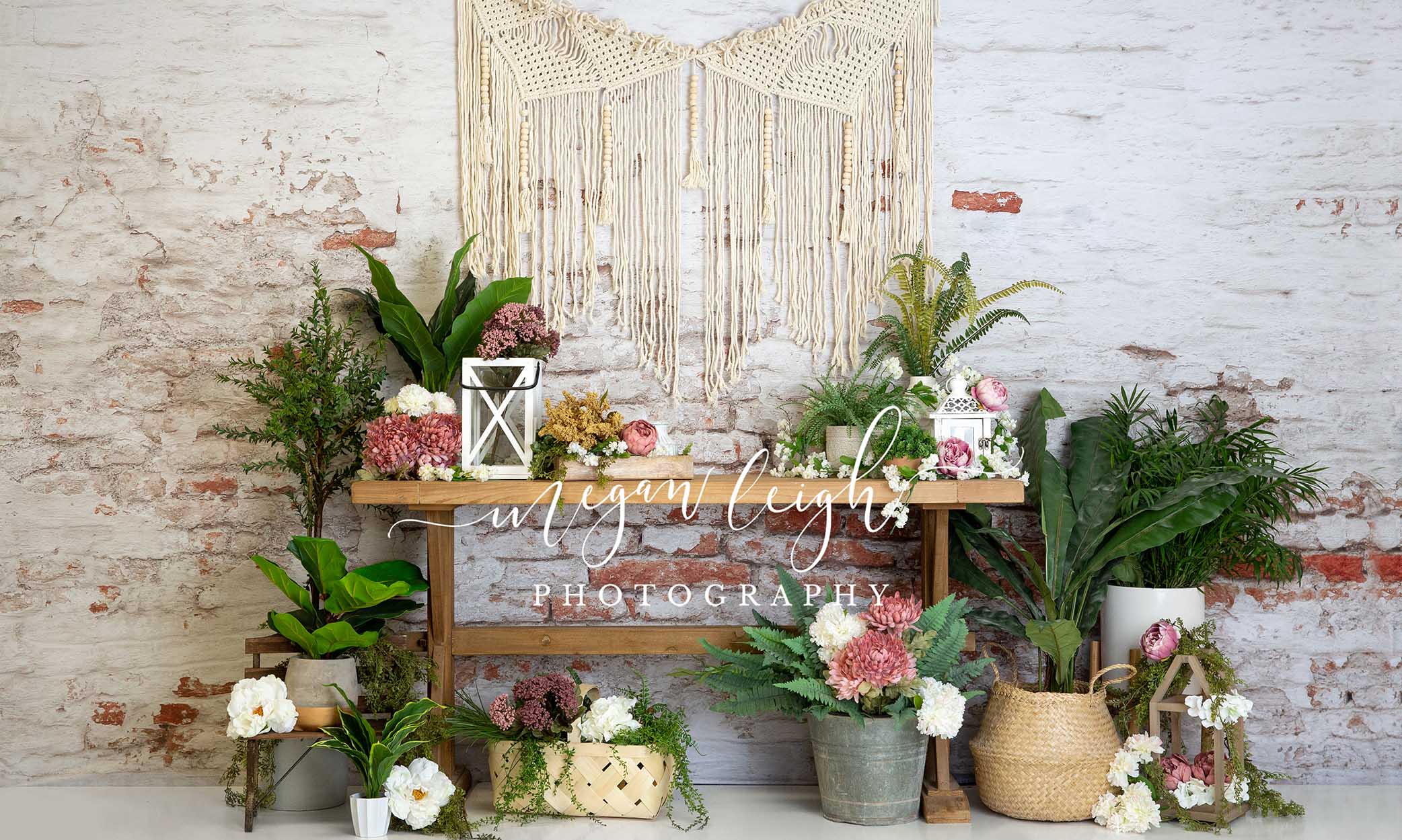 Kate Boho Summer Backdrop Designed by Megan Leigh Photography