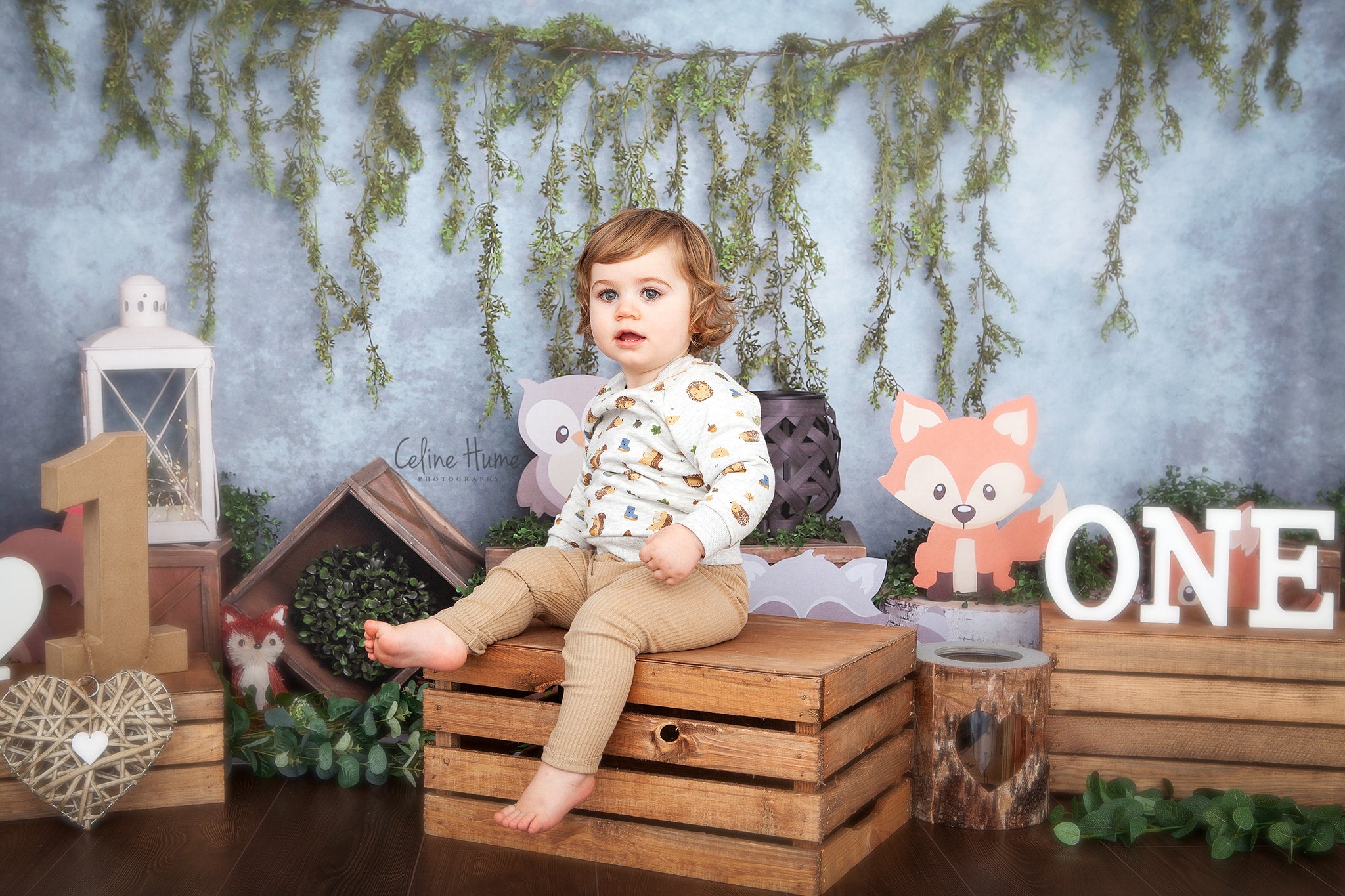 Kate Blue Woodland Animals Cake Smash Backdrop Designed by Melissa King