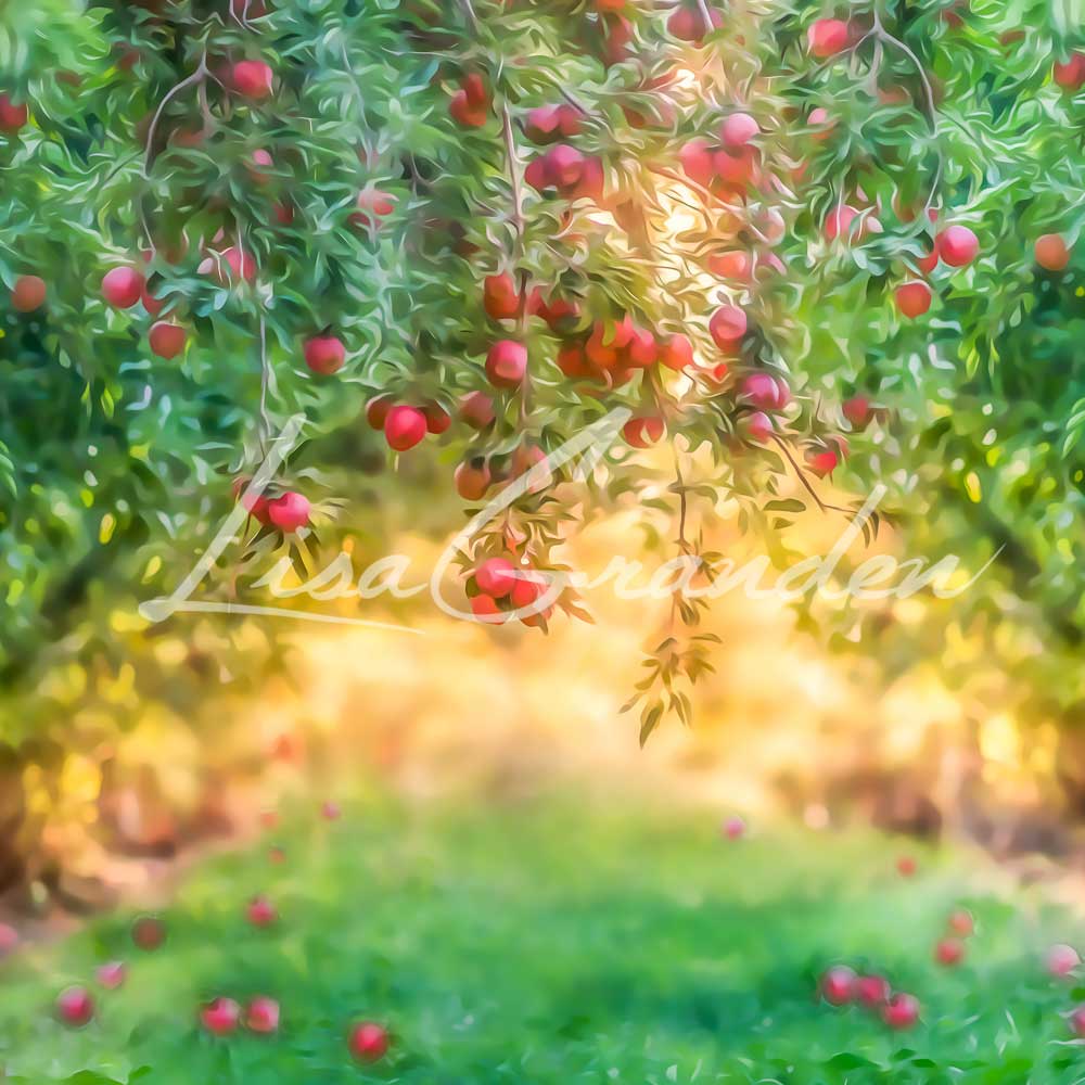 Kate Apple Orchard Summer Backdrop for Photography Designed by Lisa Granden