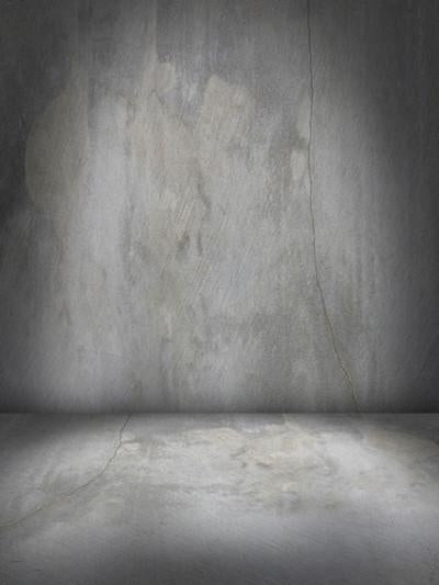 Katebackdrop£ºKate Textured Light Gray Brick Vintage Backdrop For Studio