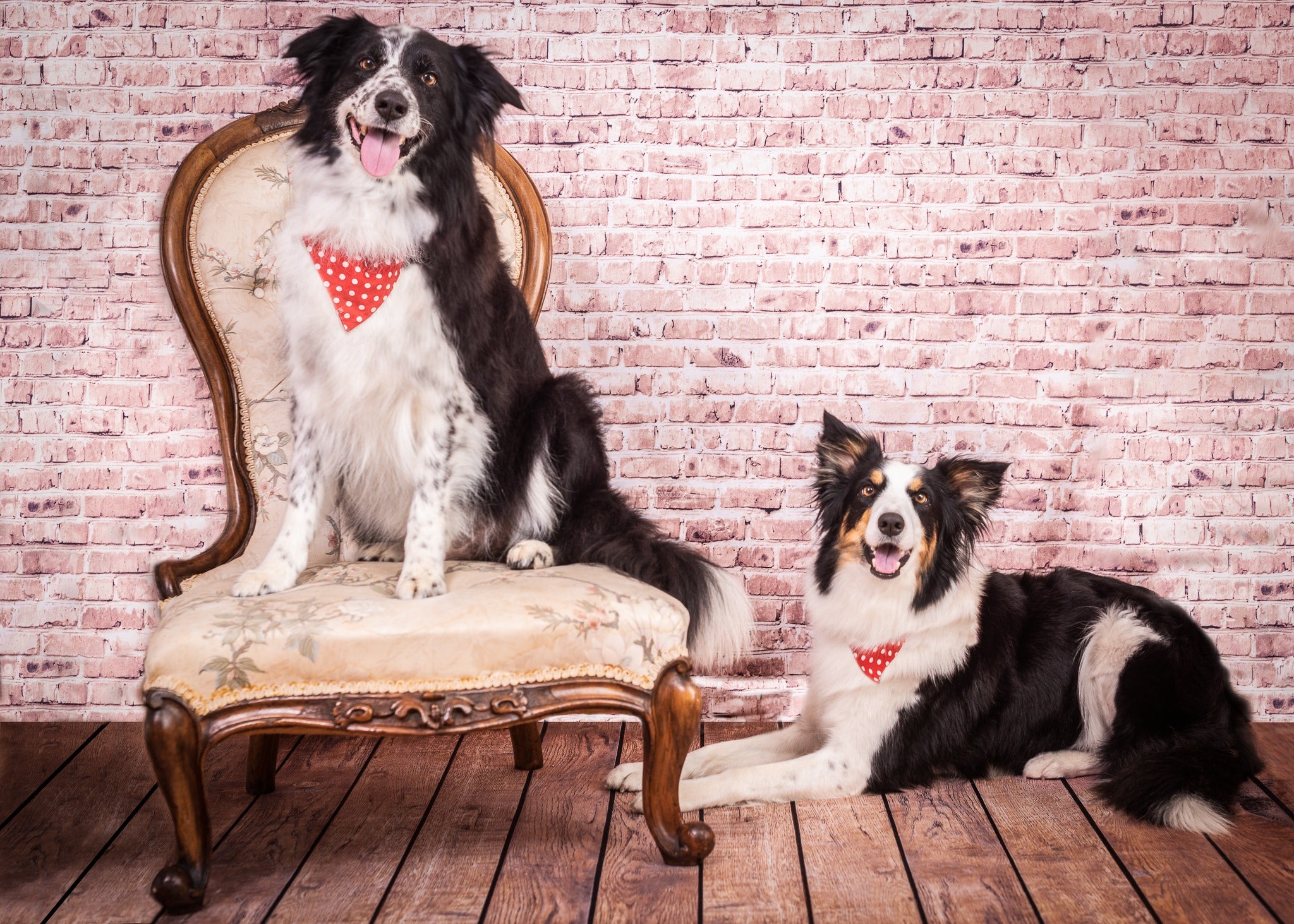 Kate Khaki brick backdrop photography with wood floor - Kate backdrop UK