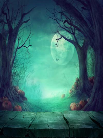 Katebackdrop£ºKate Photography Fantastic Halloween Backdrops Forest Night Moon