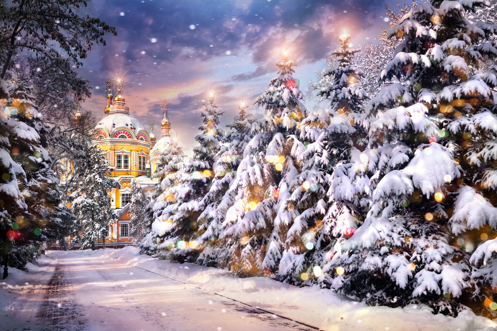 Kate Christmas Snow Backdrops for Photography